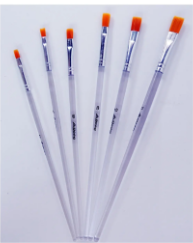 [2208840052663] Shining Paint brush 251-D no. 12 (x12/box pack)