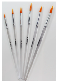 [2208840052403] Shining Paint brush 251-C no. 8 (x12/box pack)