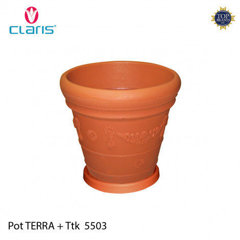 [8999118550301-12] Claris Pot Terra + Ttk 5503